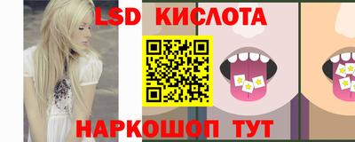шишки Лесосибирск