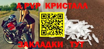шишки Лесосибирск