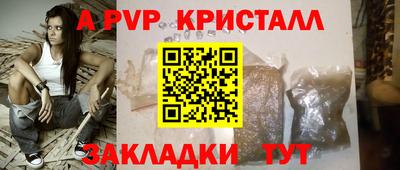 шишки Лесосибирск