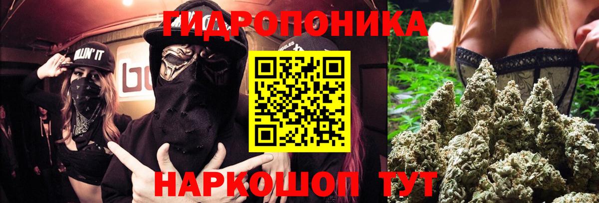 Бошки марихуана конопля  Каннабис гибрид  Вход с VPN  Каннабис гибрид  Ревда 